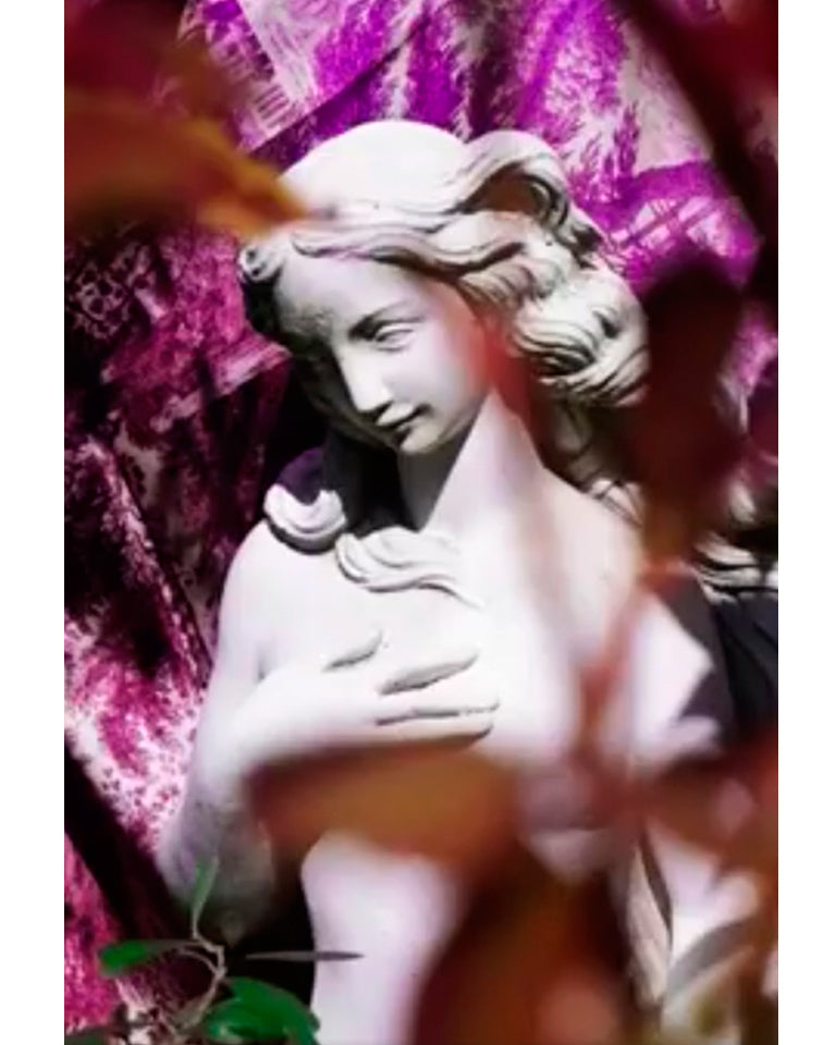 <center>Never Stop Dreaming!</center>