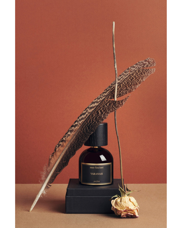 <center>Meo Fusciuni presenta "Varanasi", Diario dall'India</center>