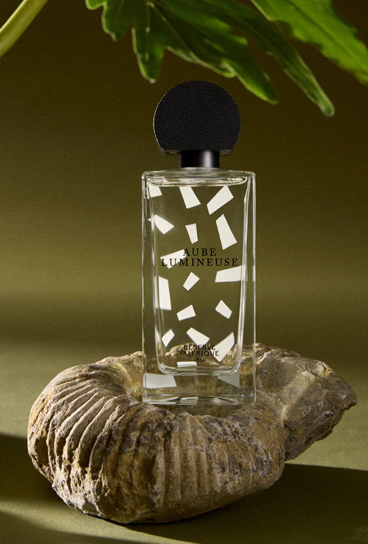 Aube lumineuse è la nuova fragranza di reserve en afrique eau de parfum 100ml