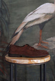 Scarpa stringata Derby Suede Mustang-Brown