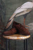 Scarpa stringata Derby firmata Alexander Hotto Mustang Brown Uomo