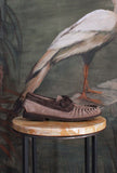 Nuovo mocassino Gorian di Alexander Hotto Antilope Brown da Uomo