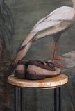 Nuovo mocassino Gorian di Alexander Hotto Antilope Brown da Uomo