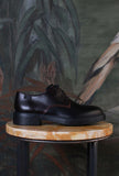 Scarpa Derby Dean Twins Brown Multicolor