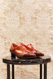 Ballerina Hetuse di Chie Mihara fantasia optical 70s chocolate scarlet fw24 donna