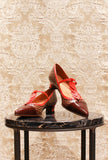 Ballerina Hetuse di Chie Mihara fantasia optical 70s chocolate scarlet fw24 donna