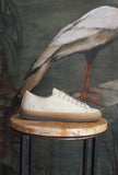 Sneakers Tender Canvas Beige