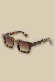 gast eyewear occhiale da sole not common havana acetato mazzucchelli