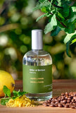 Menta y Menta - Eau de Parfum 100ml