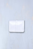 Ndb 968 Borsa Kamala Manico gioiello in pelle specchiata color Azzurro cielo