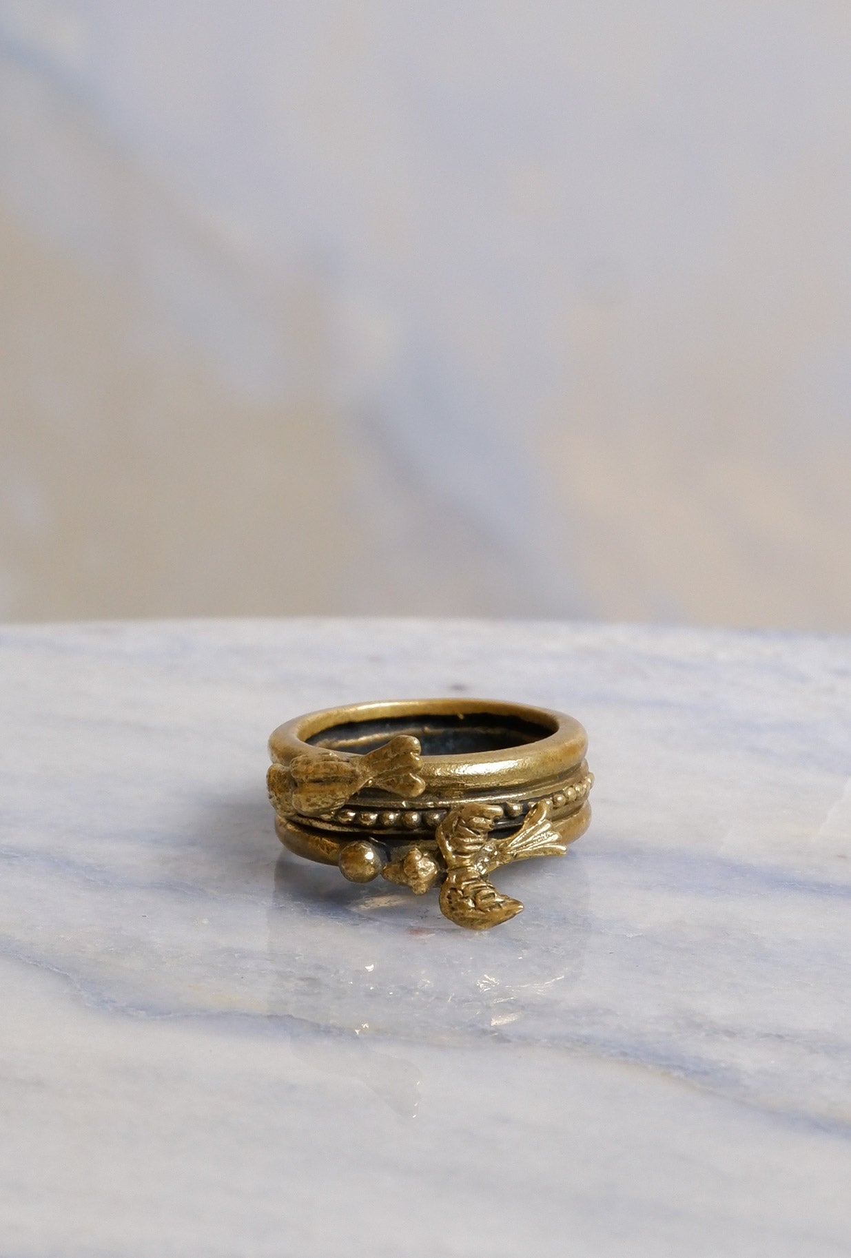 Mondo e Colori Anello Family Birds in bronzo